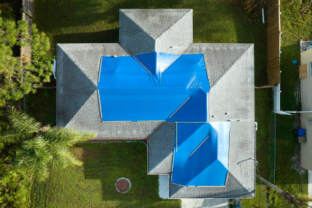 Best Roof Maintenance and Cleaning  in Black Point Green Point, CA