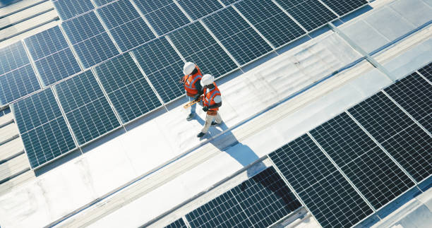 Best Asphalt Shingles Roofing  in Black Point Green Point, CA